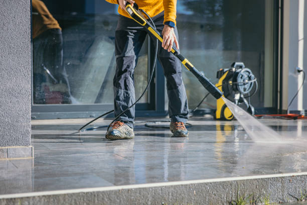 Best Gutter Cleaning  in Baudette, MN