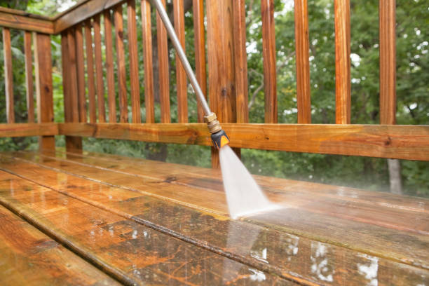 Best Driveway Pressure Washing  in Baudette, MN